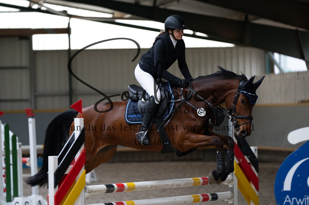 A7V07186 | Pferdefotograf