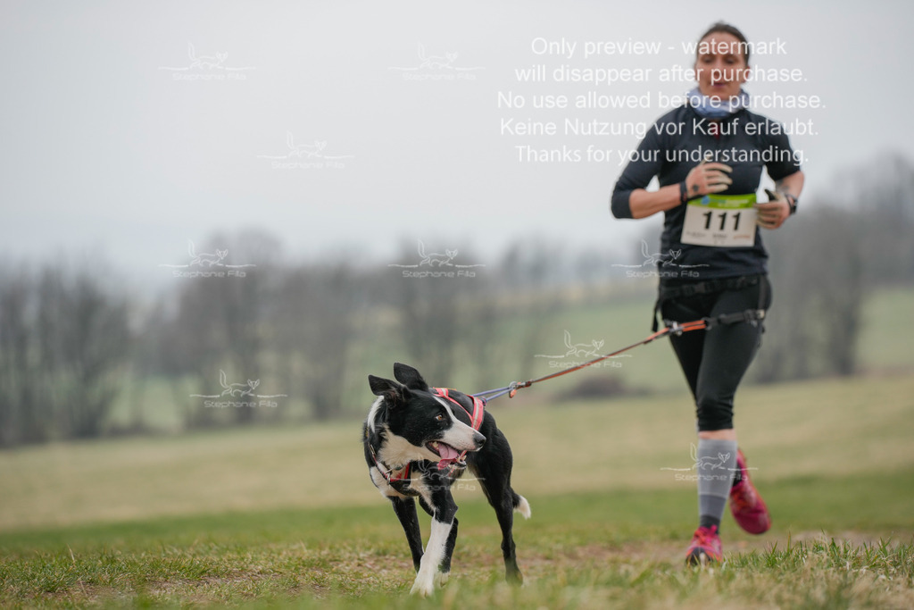 Canixlong-314 | stephaniefillaphotographie - Realisiert mit Pictrs.com