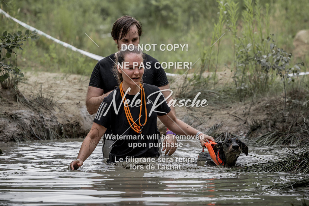 nelerasche_1400-1445_296 | nelerasche