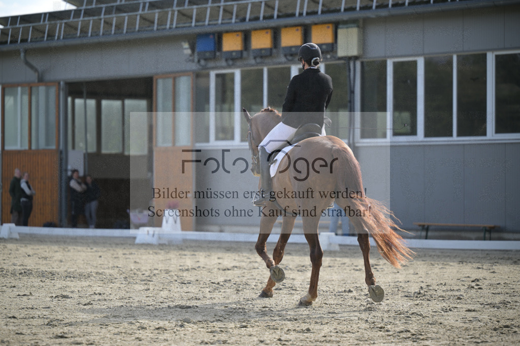 DOS_2765 | Entdecke hochwertige Reitturnierfotos von Foto Oger. Professionell, emotional und authentisch – jetzt Lieblingsmomente im Shop bestellen.Deutschlandweite Turnierfotografie. - Realisiert mit Pictrs.com