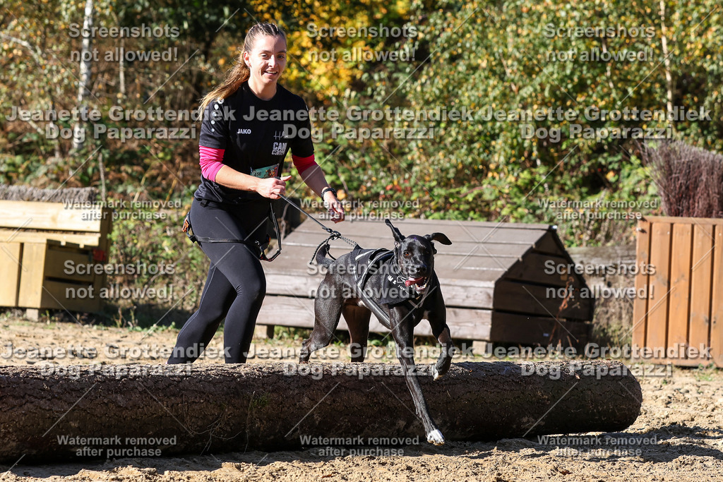Dog Paparazzi - Strongdog 10-25-2884 | Dog Paparazzi Jeanette Grottendiek Fotografie & Videografie - Realisiert mit Pictrs.com