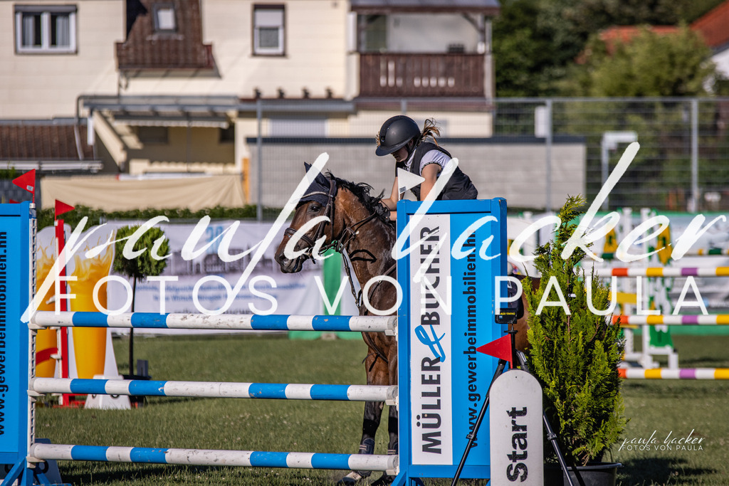 IMG_9990 | Erleben Sie dynamische Sport- und emotionale Tierfotografie in Süddeutschland mit Fotos von Paula. Spezialisiert auf Pferde- und Hundefotografie sowie Sportevents. Kontaktieren Sie mich für einzigartige und ausdrucksstarke Bilder Ihrer besonderen Momente. - Realisiert mit Pictrs.com