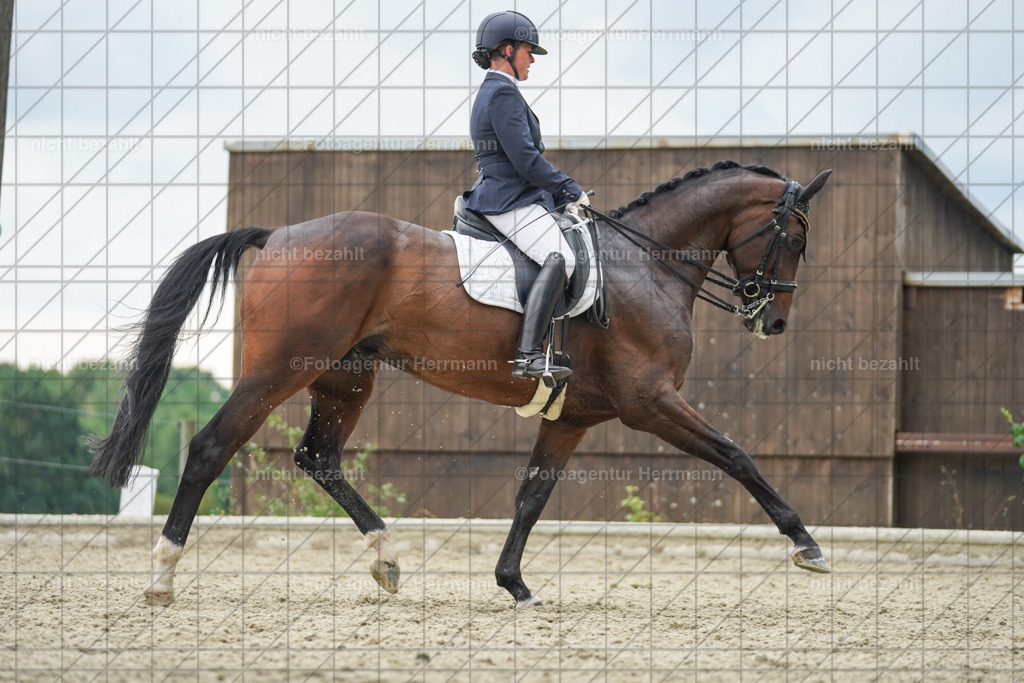 20230826-FAH06243 | Forstinning, 2023, Dressurturnier, Turniersportbilder, Turnierfotografen Bayern, Fotoagentur Herrmann, Reitsportfotografie, Turnierbilder