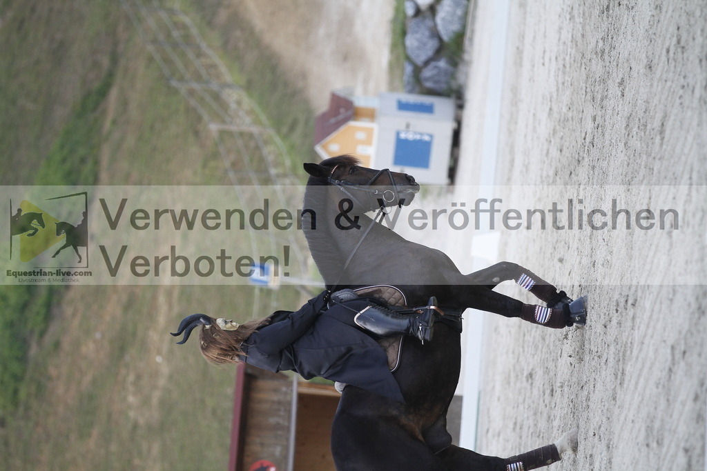 _MG_9138 | equestrian-live-com