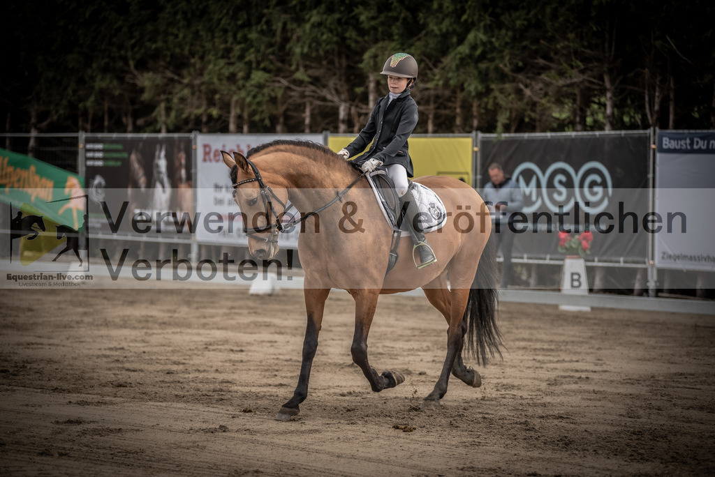 DSC_8411 | equestrian-live-com