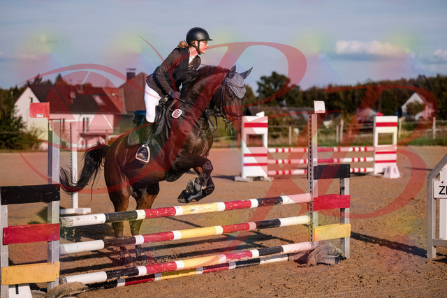2026_10_03_Siefer-Hof_171843_Z81_16428582 | Professionelle Reitsport-, Turnier- und Eventfotografie von Robert Broda. Galerien mit ausgewählten und bearbeiteten Bildern direkt online ansehen und bestellen.