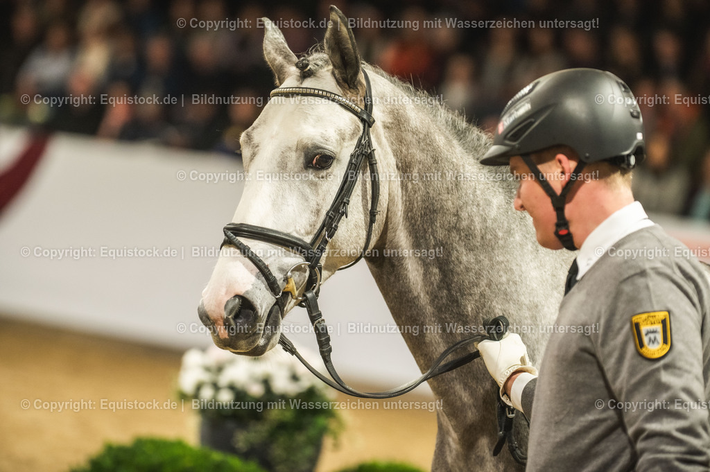 20240302_Hengstvorstellung_Marbach_TOMsPiC_0974 | equistock
