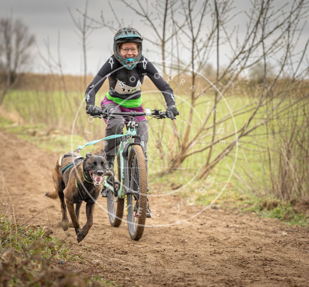 DV3A0867 | Hundefotografie, Tierfotograf, Pfotenfotografie, Fotoshooting Hund, Hunde Portrait, Hundesport, Hundeportraits, Heideshooting, Hunde, Sportfotograf, Hundefotograf, Turnierhundsport, THS,  - Realisiert mit Pictrs.com