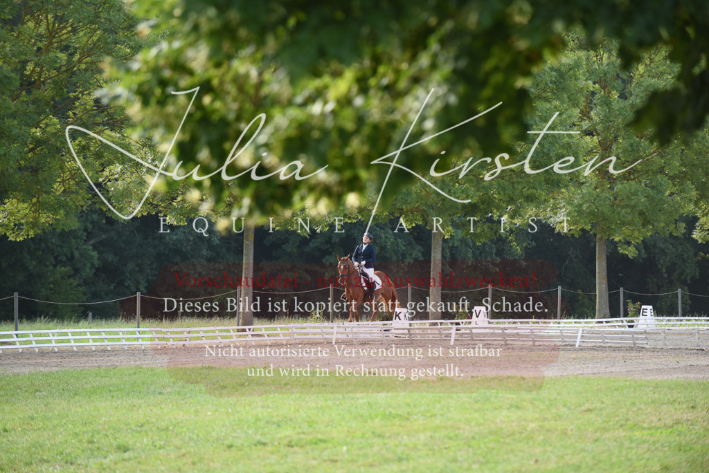 DSC_8569 | Pferde- und Turnierfotografie in Westsachsen. Pferdeportraits, Auftragszeichnungen und intuitive Kunst.