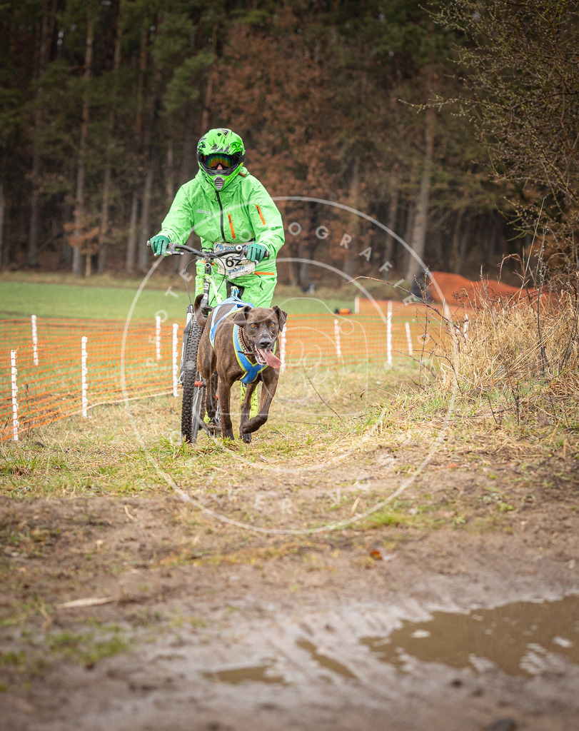DV3A9528 | Hundefotografie, Tierfotograf, Pfotenfotografie, Fotoshooting Hund, Hunde Portrait, Hundesport, Hundeportraits, Heideshooting, Hunde, Sportfotograf, Hundefotograf, Turnierhundsport, THS,  - Realisiert mit Pictrs.com