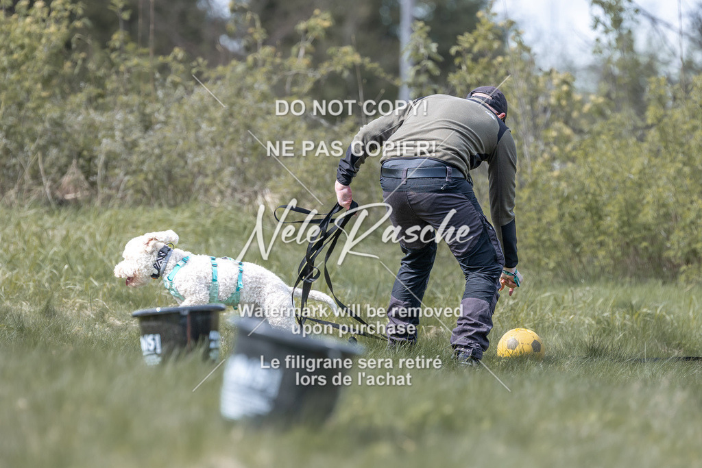 6Z1A0960 | nelerasche