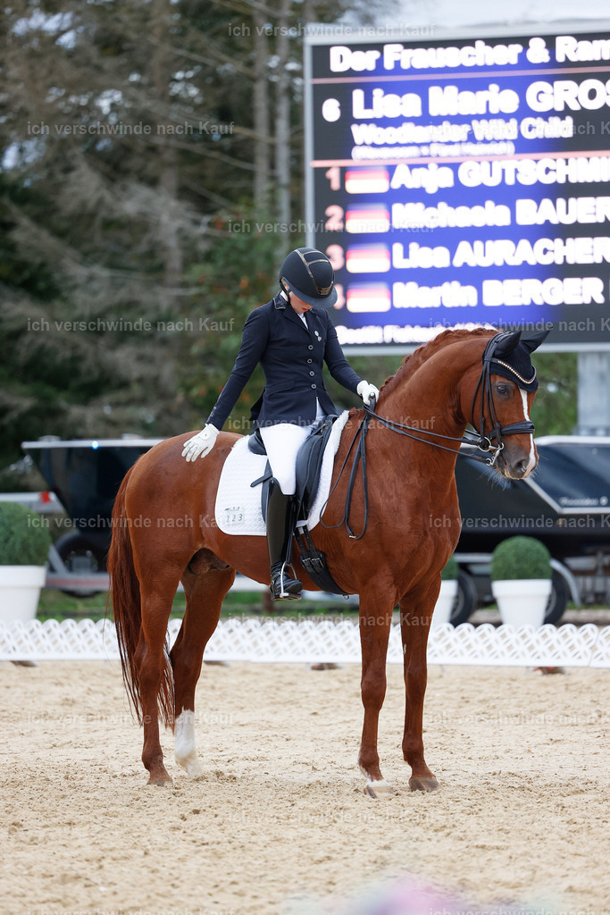 04_2-223-Dressur M__ -StoibPH-2971 | working equitationturnier fotograf videograf stoibphotography marixx film working equitation deutschland reitsport turnierfotografie eventfotografie equestrian events