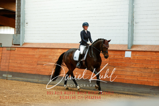 _62_4363 | Turniersportfotografie; Pferdefotografie; Dressurfotografie