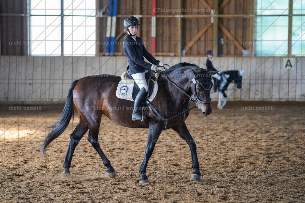 20230916-FAH08665 | Landsberg am Lech 2023, Turnierbildern, Turnierbilder Bayern, Reitsportfotograf, Pferdefotograf Bayern, Turnierfotos Landsberg, Fotoagentur Herrmann, Turnierfotografen Bayern