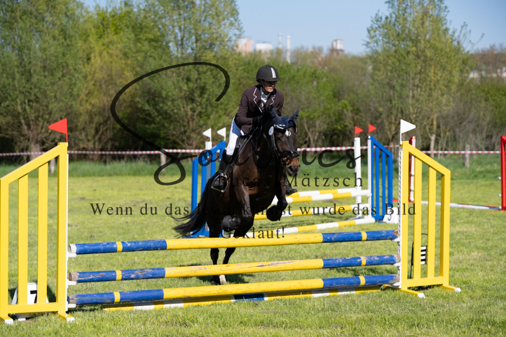 A7V01607 | Pferdefotograf