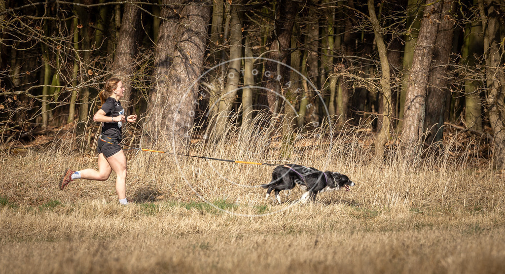 DV3A5913 | Hundefotografie, Tierfotograf, Pfotenfotografie, Fotoshooting Hund, Hunde Portrait, Hundesport, Hundeportraits, Heideshooting, Hunde, Sportfotograf, Hundefotograf, Turnierhundsport, THS,  - Realisiert mit Pictrs.com