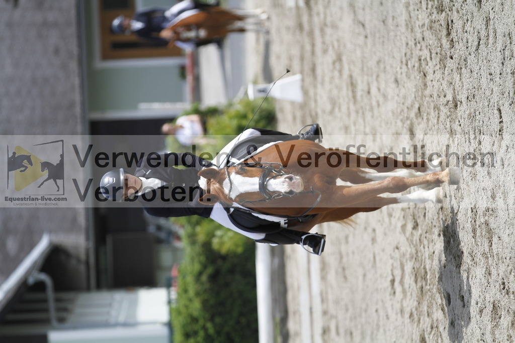_MG_8707 | equestrian-live-com