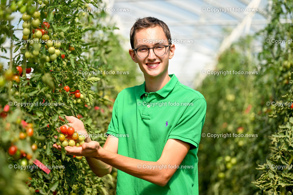 Landwirtschaft_ Gemuesebauer Spiesmayr_ 05.09.2023-12 | 05.09.2023, Wilhering, AUT, Landwirtschaft, Gemuesebauer Spiesmayr in Appersberg, im Bild Elias Mayr mit Tomaten