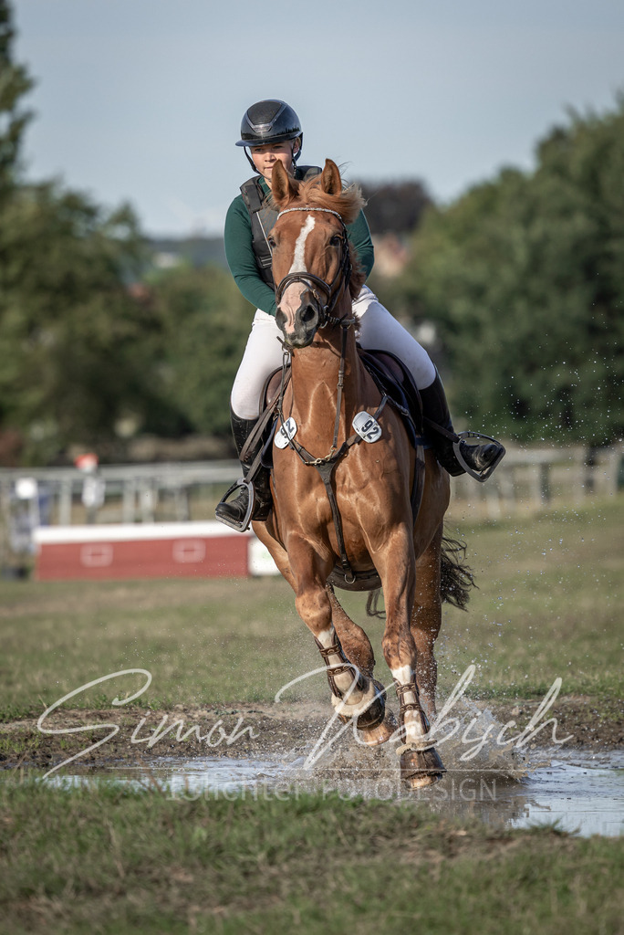 20250907-_3LI8546 | Tierfotografie Pferde, Hunde, Katzen, Haustiere.
Turnierfotografie Reitturniere, Reiten, Springreiten, Dressur in Hanau, dem Main-Kinzig-Kreis und dem Rhein-Main- Gebiet um Frankfurt