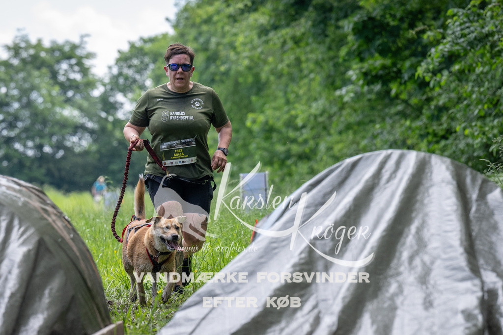1108_ZZ91544 | kk-dogfotos