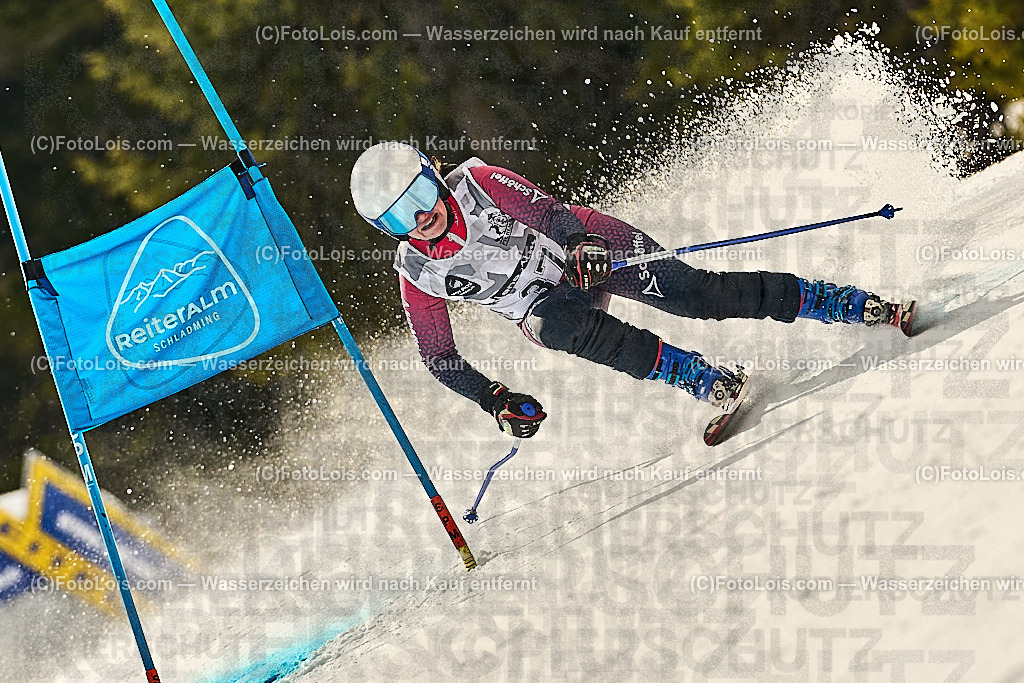 _WWO3672_MASTERS-WM_Reiteralm_CD-SG_FISCHER Sonja | FISWORLD CHAMPIONSHIPSMASTERS ALPINE SKIING, 23. – 28. MÄRZ 2026 - REITERALM | STMK | AUT.   Veranstaltet vom Masters-Referat des Deutschen Skiverbandes (DSV). Durchführende Organisation: WSV Pichl-Reiteralm, unterstütutzt von den Bergbahnen REITERALM bei Schladming und SKI AUSTRIA.                            Disziplinen:  Super-G, GiantSlalom, Slalom.                                                 Kategorien:  A (Herrn 30-59 Jahre), B (Herrn ab 60 Jahre), C (Damen 30-59 Jahre), D (Damen ab 60 Jahre).                Rennstrecken:   Gasselhöhe und Muldenliftpiste auf der Reiteralm.