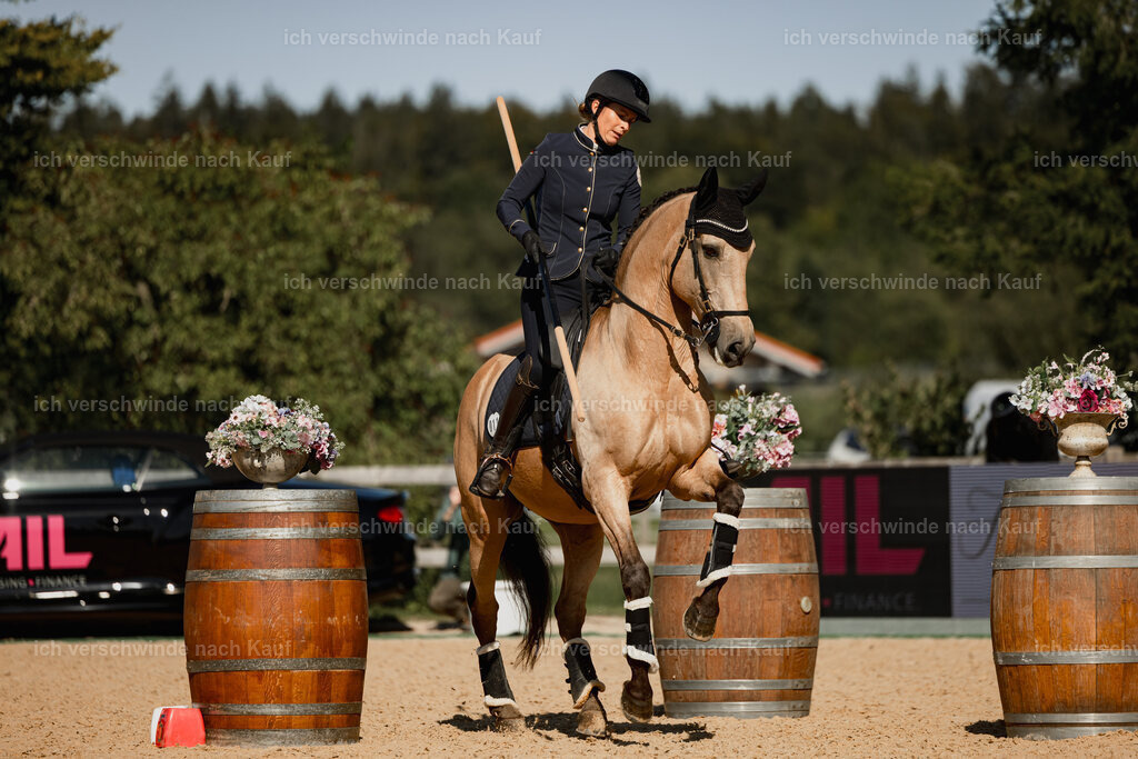 Diana11_FHC2025-27518 | working equitationturnier fotograf videograf stoibphotography marixx film working equitation deutschland reitsport turnierfotografie eventfotografie equestrian events