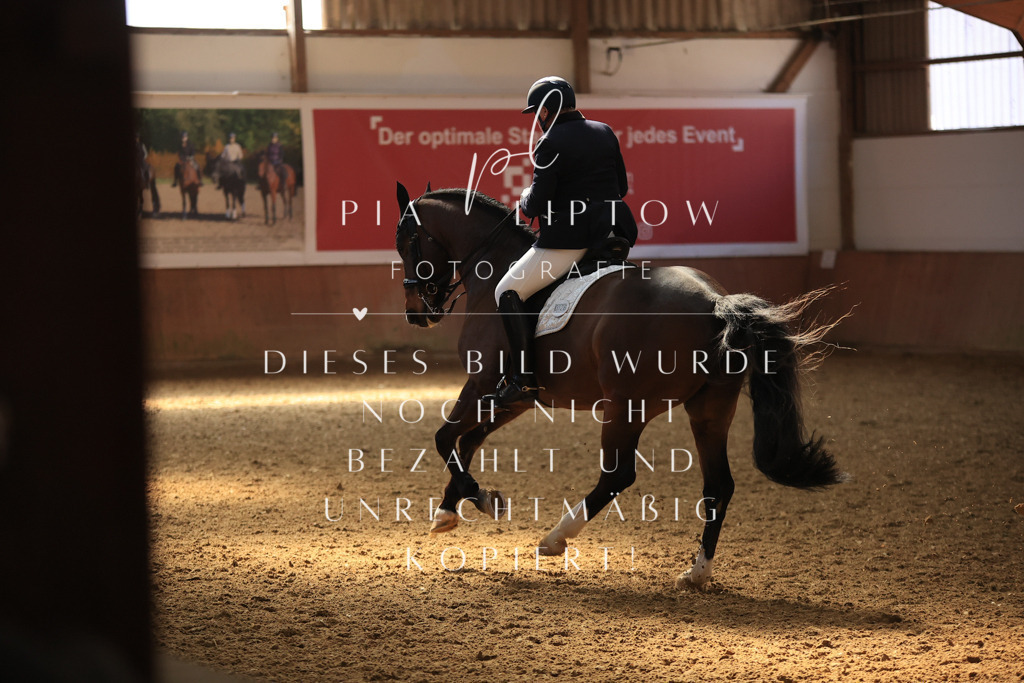 IMGT3607 | pl-fotografie