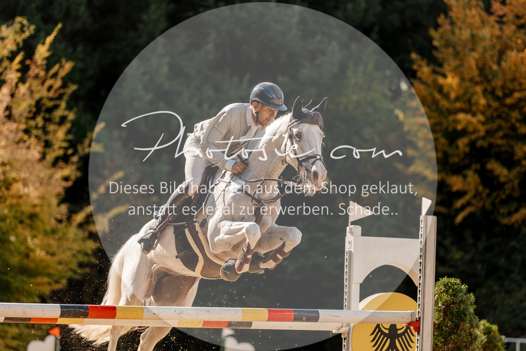 3I6A4650 | Stimmungsvolle Portraits und Reitsportfotografie im Ruhrgebiet und im Münsterland.

Pferdefotografie, Hundefotografie, Tierfotografie, Reportagen, Portraits von Tier und Mensch, Turnierfotografie in Bochum, Recklinghausen, Marl, Haltern am See, Dülmen.. - Realisiert mit Pictrs.com