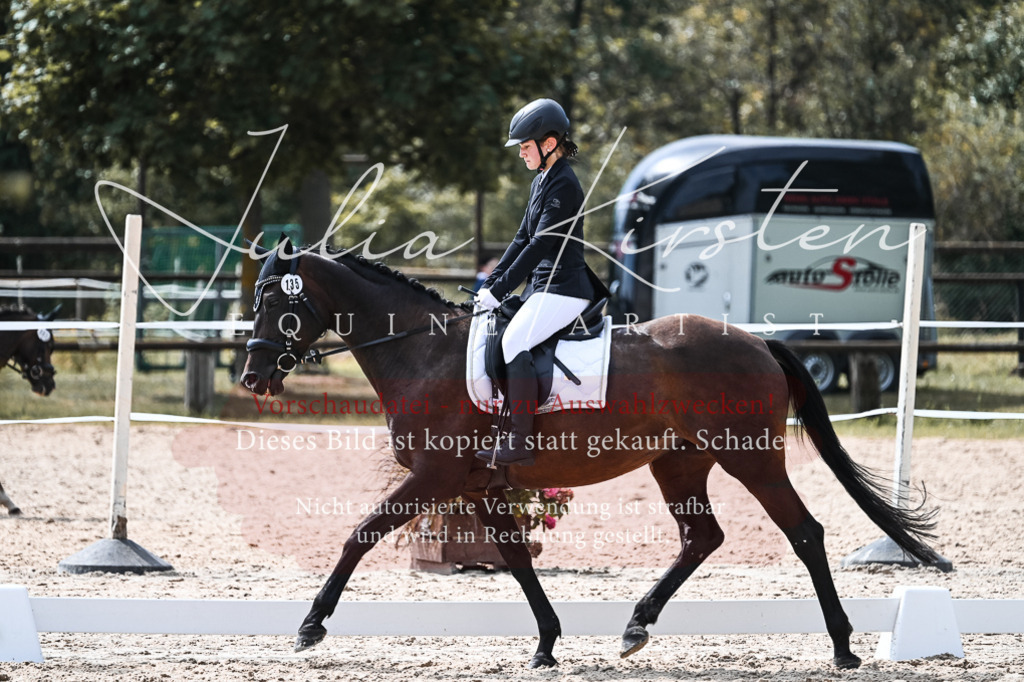 DSC_5246 | Pferde- und Turnierfotografie in Westsachsen. Pferdeportraits, Auftragszeichnungen und intuitive Kunst.