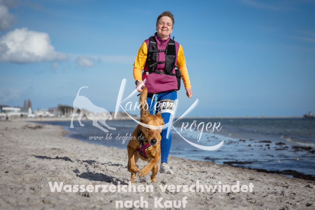 1354_ZZ94391 | kk-dogfotos