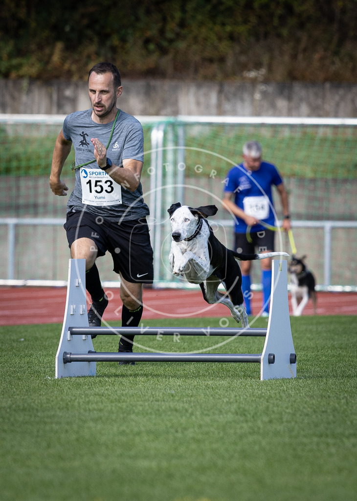 Pfotenfotografie_DV3A9436 | Hundefotografie, Tierfotograf, Pfotenfotografie, Fotoshooting Hund, Hunde Portrait, Hundesport, Hundeportraits, Heideshooting, Hunde, Sportfotograf, Hundefotograf, Turnierhundsport, THS,  - Realisiert mit Pictrs.com