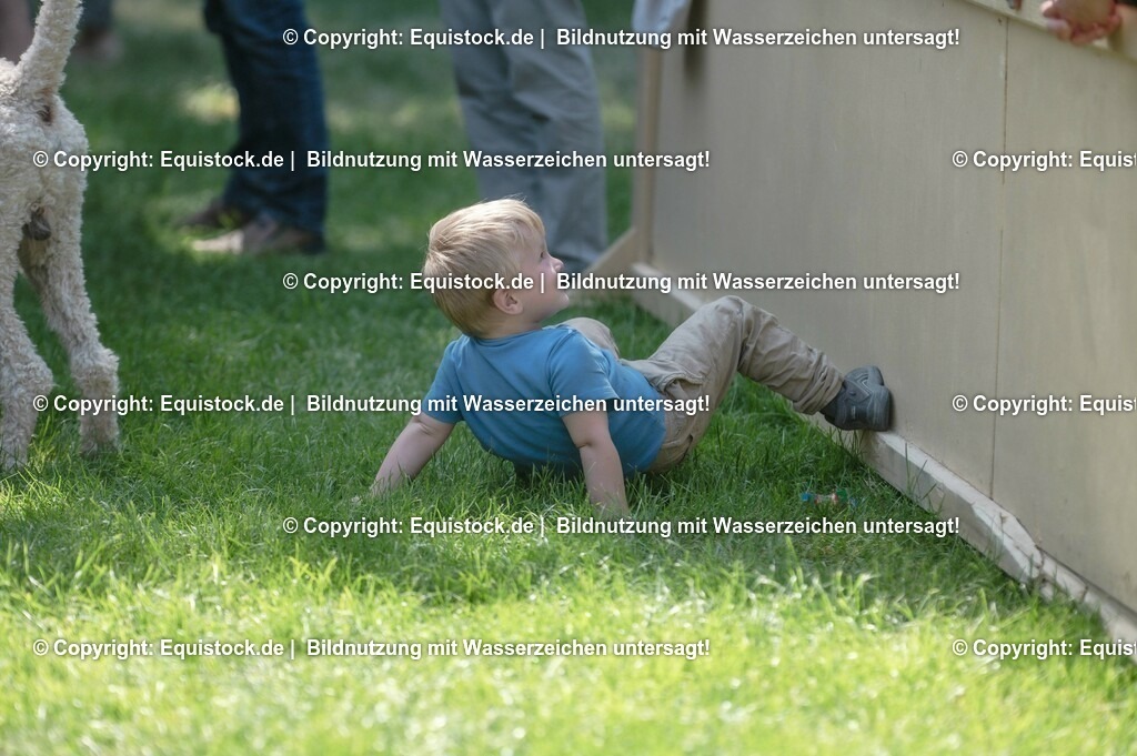 20230528_Voltigieren_NASPA_0270 | equistock