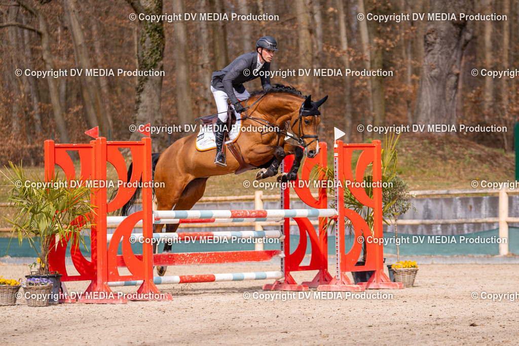 Kranichstein Tag 1-618 | dv-media-shop - Realisiert mit Pictrs.com