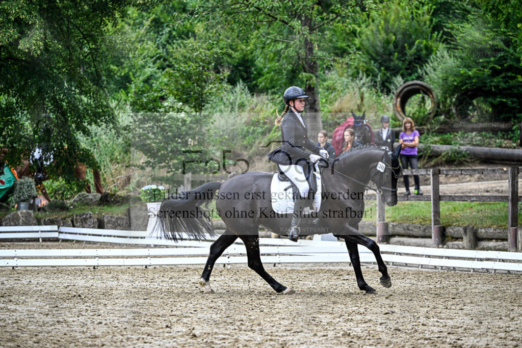 Bissendorfer Reitertage | Entdecke hochwertige Reitturnierfotos von Foto Oger. Professionell, emotional und authentisch – jetzt Lieblingsmomente im Shop bestellen. - Realisiert mit Pictrs.com
