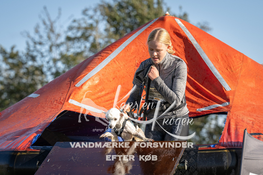 1457-90400 | kk-dogfotos