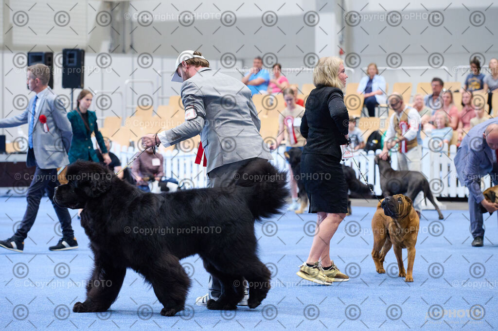 202406_ÖKV-IHA-Tulln24_DSC_4956 | proPHOTO - Realisiert mit Pictrs.com