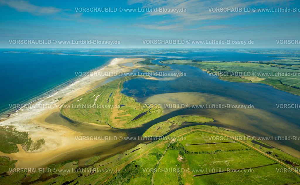 Ostsee16062669Zingst_Bodden | Zingst, Bodden, Naturschutzgebiet, Kleine Werder, Strand, Strandlinie,  Zingst, Ostseeküste,Mecklenburg-Vorpommern, Vorpommern, Mecklenburg-Vorpommern, Deutschland