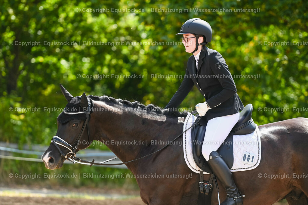 20230715_07_Dressurpferdeprfg. Kl.L_0190 | equistock