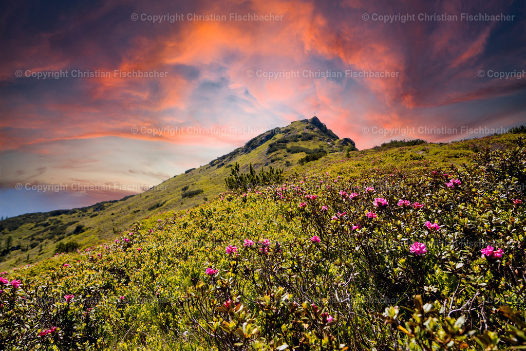 Fotos_Copyright_Chri_Fischbacher_Druck-5 | Bildershop Chri Fischbacher - Realisiert mit Pictrs.com