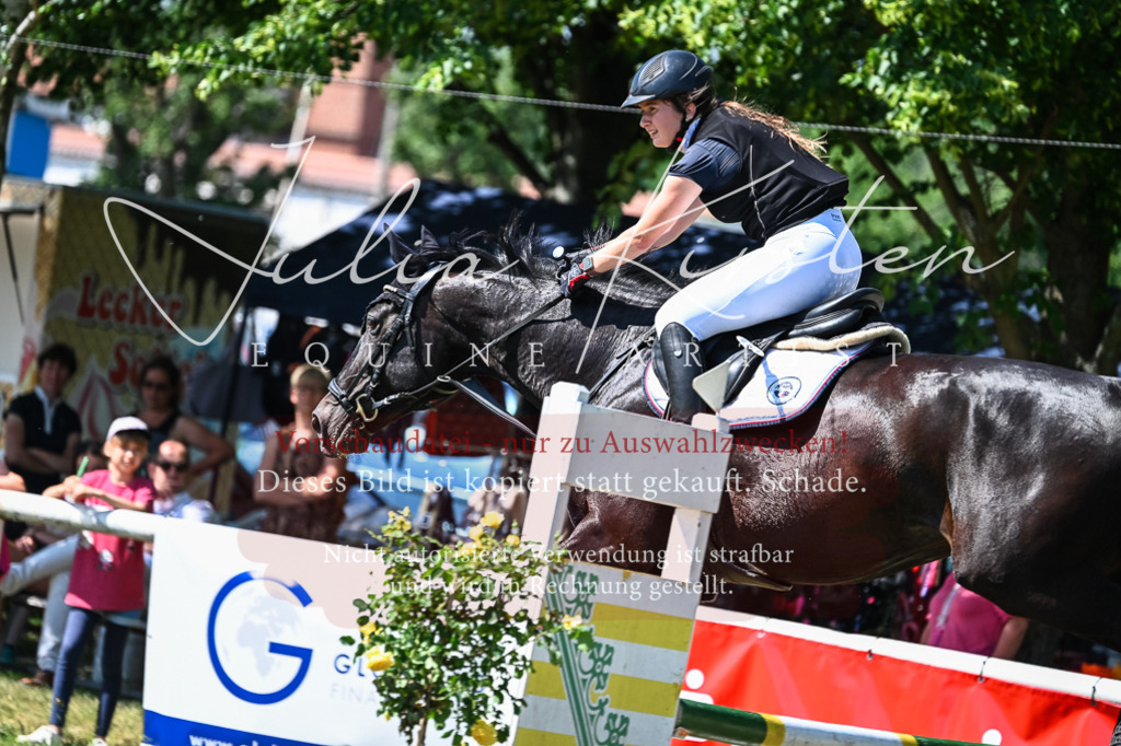 DSC_1333 | Pferde- und Turnierfotografie in Westsachsen. Pferdeportraits, Auftragszeichnungen und intuitive Kunst.