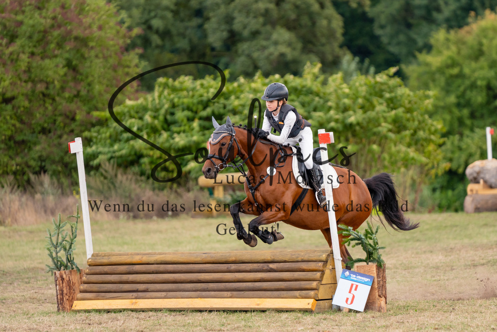 A7V01448 | Pferdefotograf