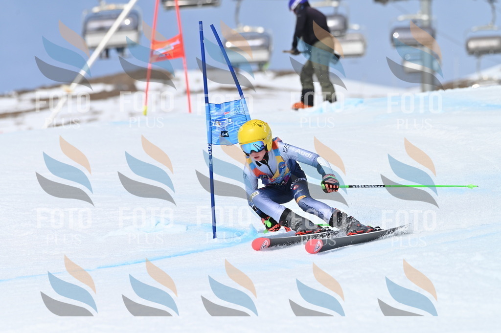 BGV_3942 | holidayphoto