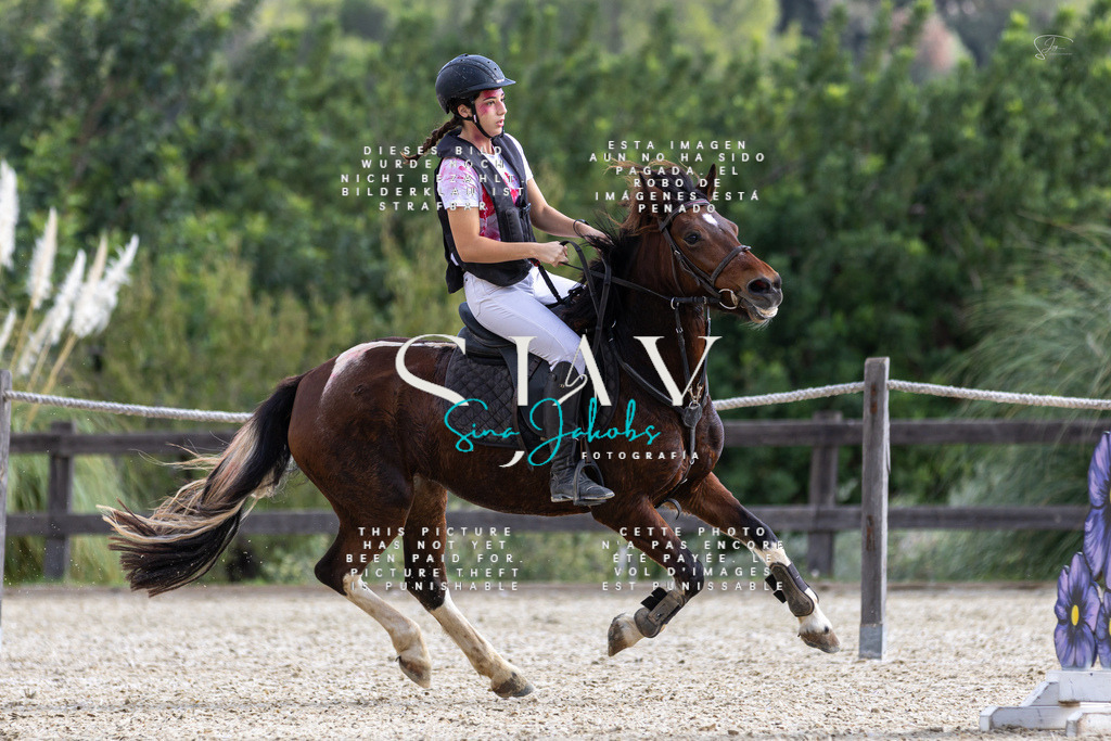 IMG_2552 | s-jay-photography - Realisiert mit Pictrs.com