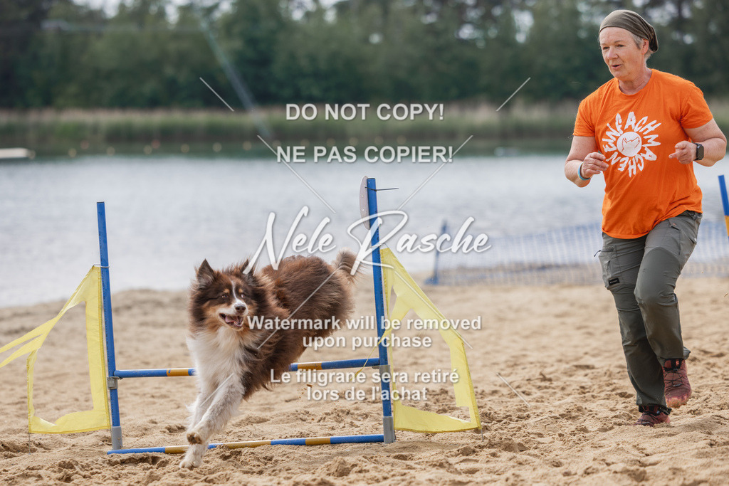 nelerasche_BuHu2026_So1530-Ende_126 | nelerasche