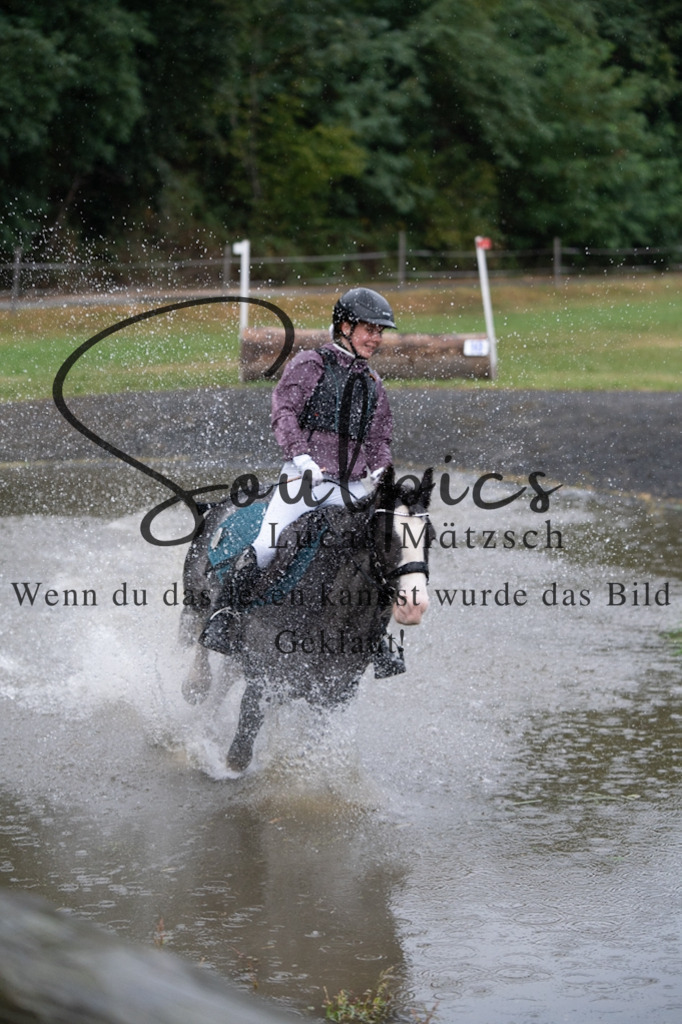 A7V09959 | Pferdefotograf