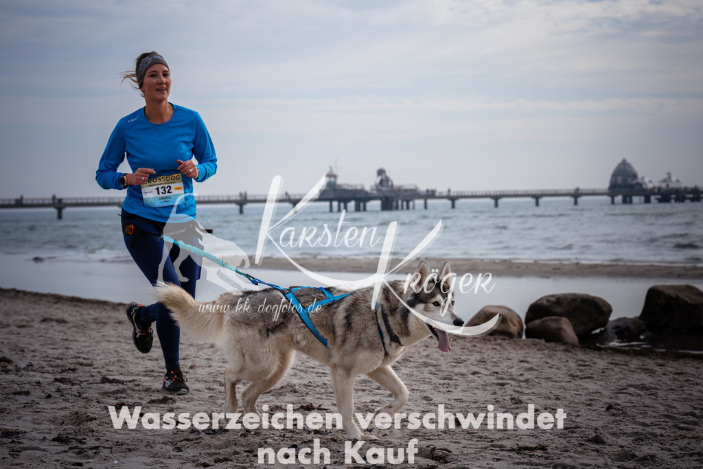 1056_ZZ96659 | kk-dogfotos