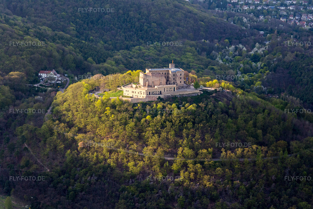 Luftbild: Oberhambach, Hambacher Schloss im Ortsteil Diedesfeld in Neustadt im Bundesland Rheinland-Pfalz in Deutschland. Foto: IMG_106592.jpg vom 17.04.2018 durch Werner Riehm/FLY-FOTO.de