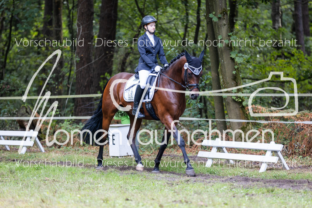 HB-Dressur-WB-102 | MomenTaufnahmen Pferdesportfotos