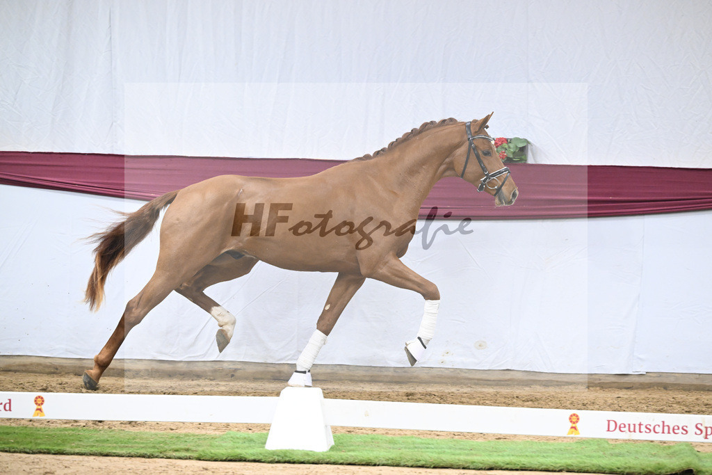 Kat-Nr. 135 Value x For Romance I_Drews Reutalmuehle eGbR_47254598 | hf-fotografie - Realisiert mit Pictrs.com