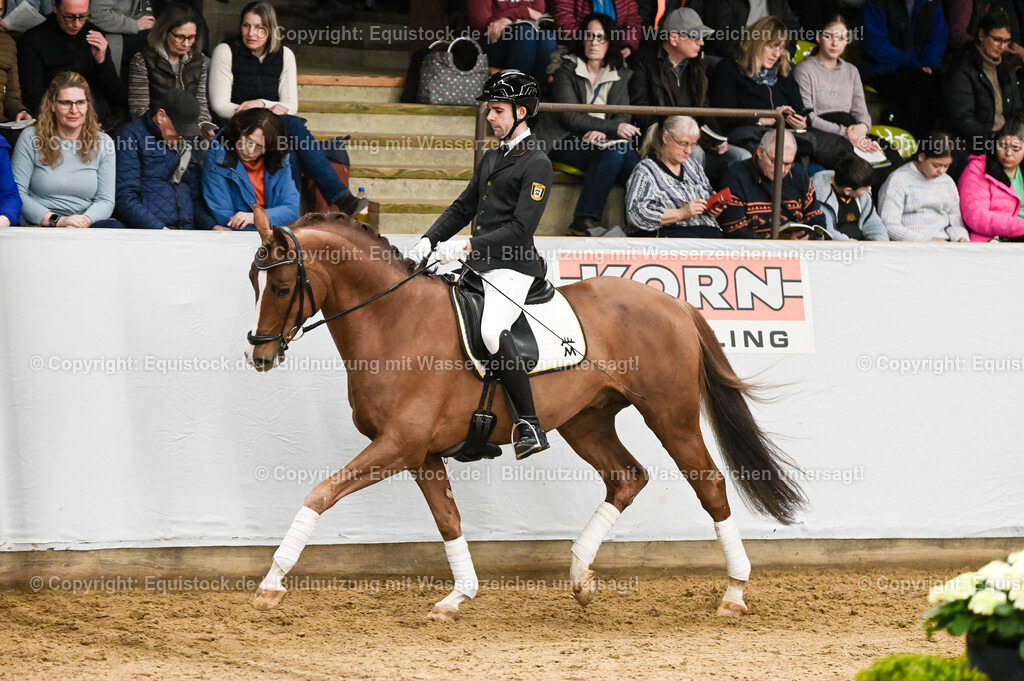 20260307_Hengstvorstellung-Marbach_0220 | equistock